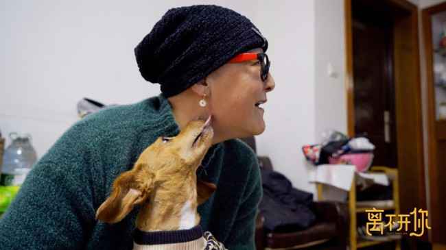 《离不开你》首播引热议 聚焦人宠衰老的解法