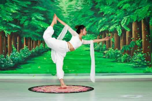 梵妮瑜伽-汗水下的美丽人生