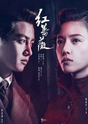 《红蔷薇》曝定档预告片 谍影重重扑朔迷离