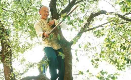 何润东《花开》死因成迷 少奶奶们欲追查到底