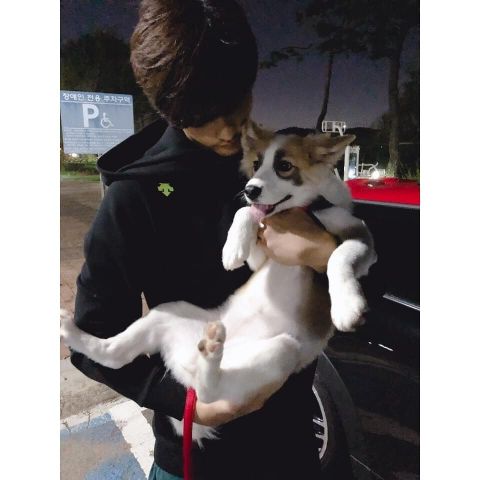 爱狗人成勋 公开悉心照顾下重获新生的YangHee近况