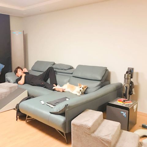 爱狗人成勋 公开悉心照顾下重获新生的YangHee近况